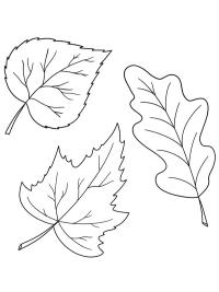 3 Herbstblätter