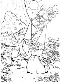 David und Lisa gehen durch den Wald