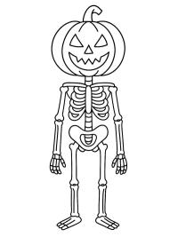 Halloween Kürbisskelett