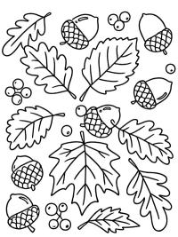 Herbstblätter und Eicheln