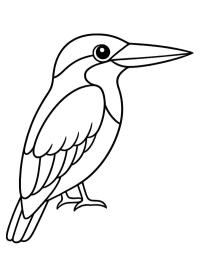 Eisvogel