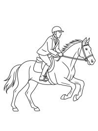 Pferd mit Reiter im Galopp