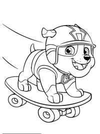 Rubble auf einem Skateboard