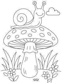 Schnecke auf Pilz
