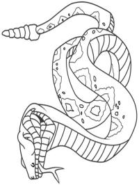 Kobra Schlange Ausmalbild