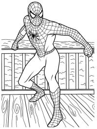 Cooler Spiderman