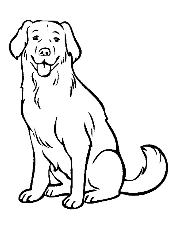Labrador Hund | besteausmalbilder.de