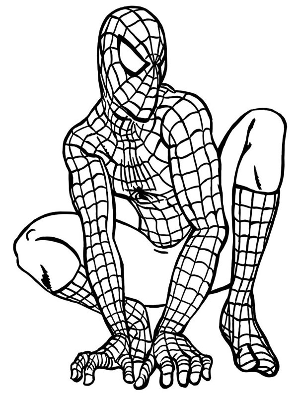 Hockender Spiderman Ausmalbild